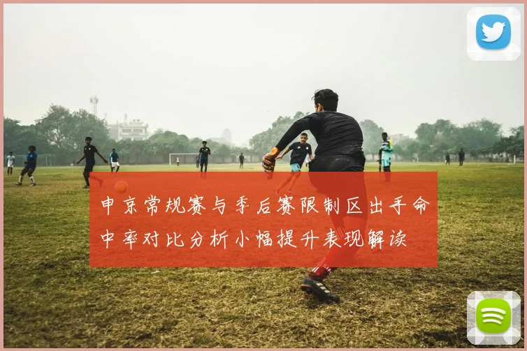 申京常规赛与季后赛限制区出手命中率对比分析小幅提升表现解读